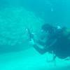 Picture taken during the dive