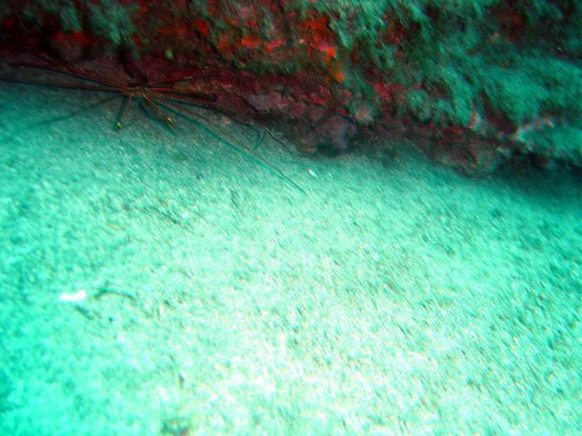Faroe Dive - Dive Center