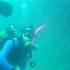 Picture taken during the dive