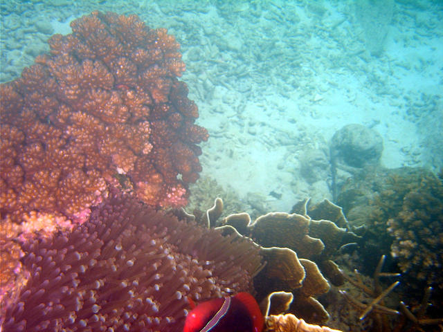Fishermen Dive Centre - Dive Center in Malaysia