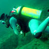 Picture taken during the dive