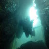 Picture taken during the dive