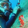 Picture taken during the dive