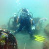 Picture taken during the dive
