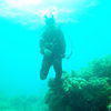 Picture taken during the dive