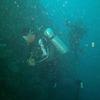 Picture taken during the dive