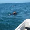 Picture taken during the dive