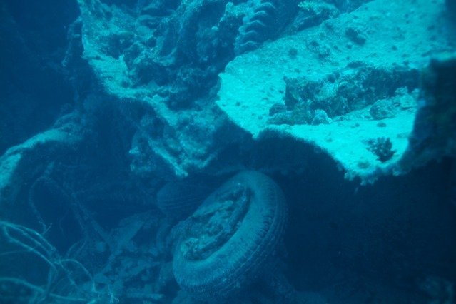 Dolphin Diving Center - Dive Center in Egypt