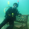 Picture taken during the dive