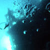 Picture taken during the dive