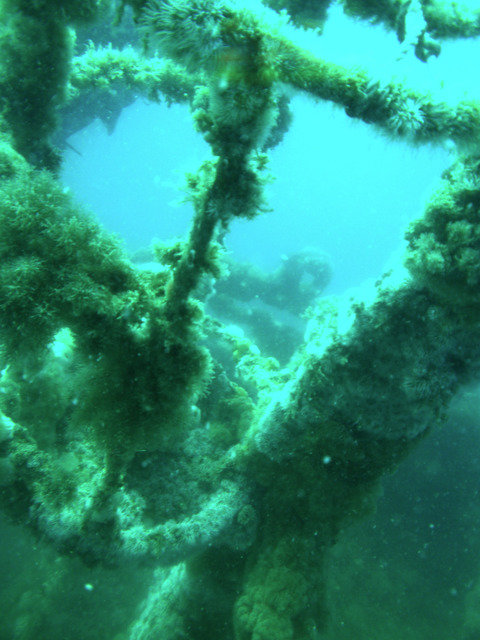 Cota Cero Buceo - Dive Center