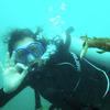 Picture taken during the dive