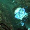 Picture taken during the dive