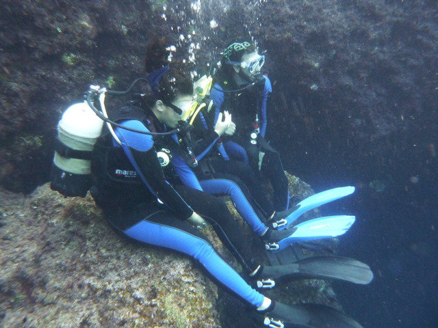 Sea Shell Dive Centre - Dive Center in Malta