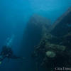 Picture taken during the dive