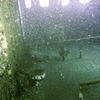 Picture taken during the dive