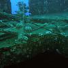 Picture taken during the dive