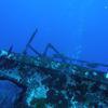 Picture taken during the dive