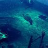 Picture taken during the dive