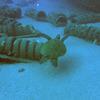 Picture taken during the dive