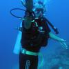 Picture taken during the dive