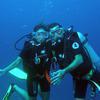 Picture taken during the dive