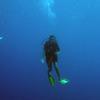 Picture taken during the dive