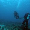 Picture taken during the dive