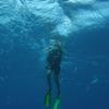 Picture taken during the dive
