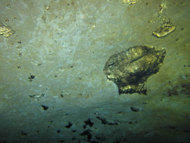 Neptune Dive Center - Dive Center
