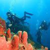 Picture taken during the dive