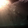 Picture taken during the dive