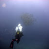 Picture taken during the dive