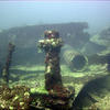 Picture taken during the dive