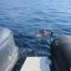 Picture taken during the dive
