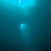 Picture taken during the dive