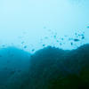 Picture taken during the dive