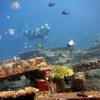 Picture taken during the dive