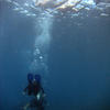 Picture taken during the dive