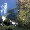 Picture taken during the dive