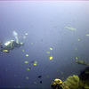 Picture taken during the dive