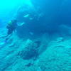 Picture taken during the dive
