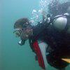 Picture taken during the dive