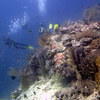 Picture taken during the dive