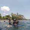 Picture taken during the dive