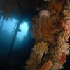 Picture taken during the dive