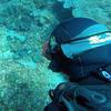 Picture taken during the dive