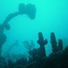 Picture taken during the dive
