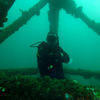 Picture taken during the dive