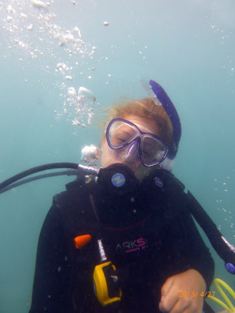 Fitzroy Island Dive Centre - Dive Center in Australia
